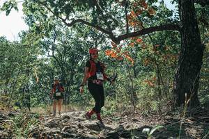 BIB: 
                            <button type="button" onclick="openModal(26115264)" class="btn btn-primary btn-sm float-right btn-popup" data-toggle="modal" data-target=".modal-high-quality">
                        <i class="fas fa-shopping-cart"></i> Add to Cart
                    </button>
                                            <button type="button" onclick="isThisMe(26115264, true)" class="btn btn-success btn-sm float-right btn-popup btn-isme hidden" data-toggle="tooltip" data-placement="bottom" title="นี่คือรูปของคุณใช่ไหม คลิกที่นี่เพื่อเอาเข้าอัลบั้ม">
                        <i class="fas fa-plus"></i> Add to album
                    </button>
                    <button type="button" onclick="isThisMe(26115264, false)" class="btn btn-warning btn-sm float-right btn-popup btn-isnotme hidden">
                        <i class="fas fa-ban"></i> Remove from album
                    </button>